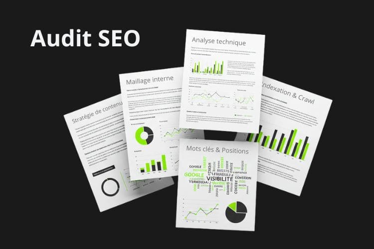 audit seo complet pages